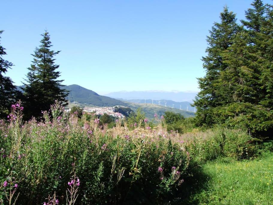 Casarosaria Italie Molise Pietrabbondante Villa Exteriör bild
